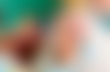 Rose prioriza Saúde e Educação na
Lei de Diretrizes Orçamentárias de 2018