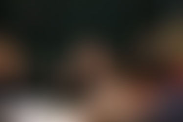 Rose de Freitas: transparência para o Orçamento da União