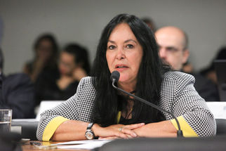 Rose de Freitas ressalta importância regulamentação dos direitos dos trabalhadores domésticos
