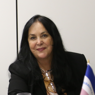 Senadora e bancada discutem aeroporto de Vitória