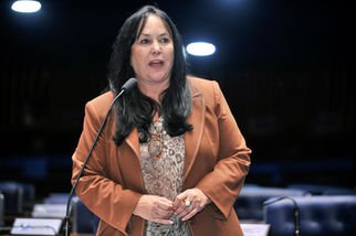 Rose de Freitas sugere mais agilidade no exame de contas presidenciais