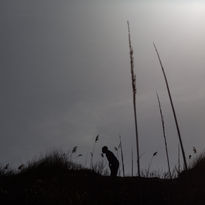 Tirages NatureJulie Fuchs Photographe-24.jpg