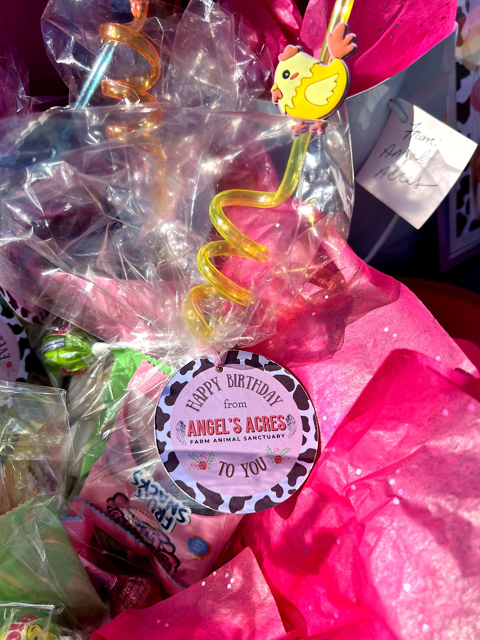 Birthdays at Angels Acres