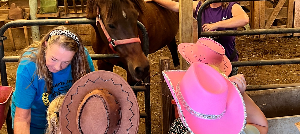 Birthdays at Angels Acres