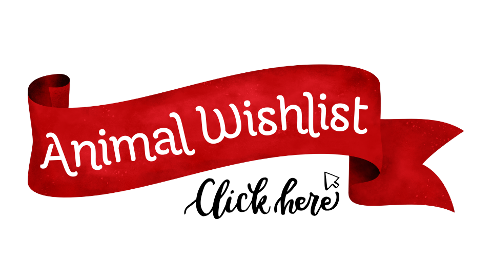 wishlist Icon.png