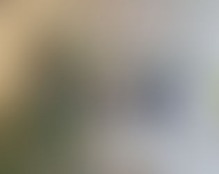 Rangers offer scant resistance as Middlesbrough respond stylishly to Millwall challenge