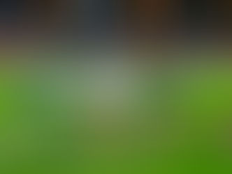 Eagles sharpen their claws ahead of Brighton visit as Dutch prey AZ Alkmaar are picked off