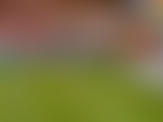 Bruges come from behind to set-up clash with Spurs loanee