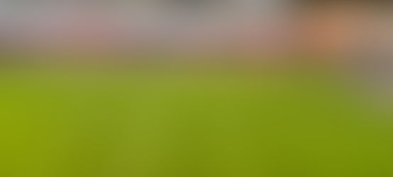 Hamano strike seals victory for Chelsea but Spurs show their mettle to keep Blues at bay for most of the game