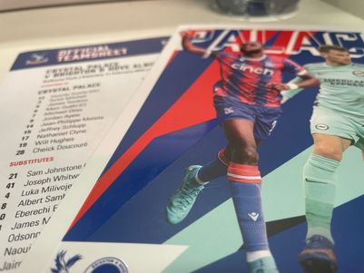 Vieira delighted with a point as Palace hold Brighton to a draw