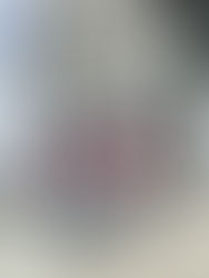 Why Charlton should snap up Kaiserslautern's US striker Terrence Boyd