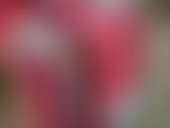 Arsenal stunned by clinical Man United finishes as they surrender unbeaten home record