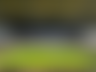 Dortmund win but Maresca outcast ends the year on zero Bundesliga goals