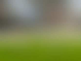Crystal Palace ace is given a late breadcrumb by Northern Ireland manager on debut