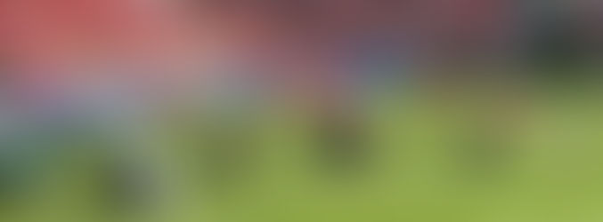 Spurs humbled in FA Cup final as Manchester United win 4-0 at Wembley Stadium