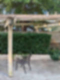 Carleton Landscaping photo 1