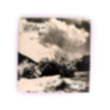 CARVINGS AT CRAGGY GARDENS (NC) TRAIL SHELTERS - ADAM VOID