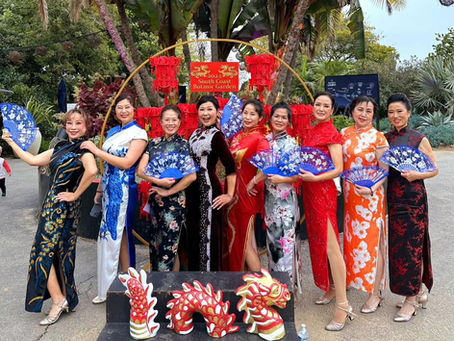 Qipao Team is established