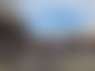 MoCo Student Walkout