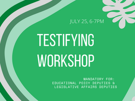 How to Testify Workshop Recap