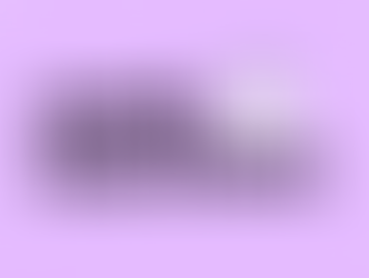 Learn About the SMOB Election Process