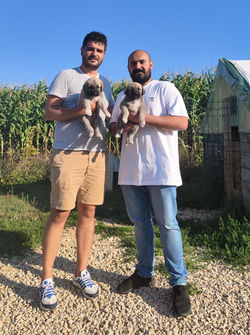 Aslan & Ajena