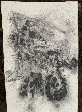 Print made from the flow of a stream