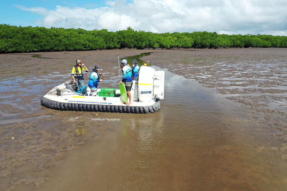 Restoring tropical seagrasses and their ecosystem services