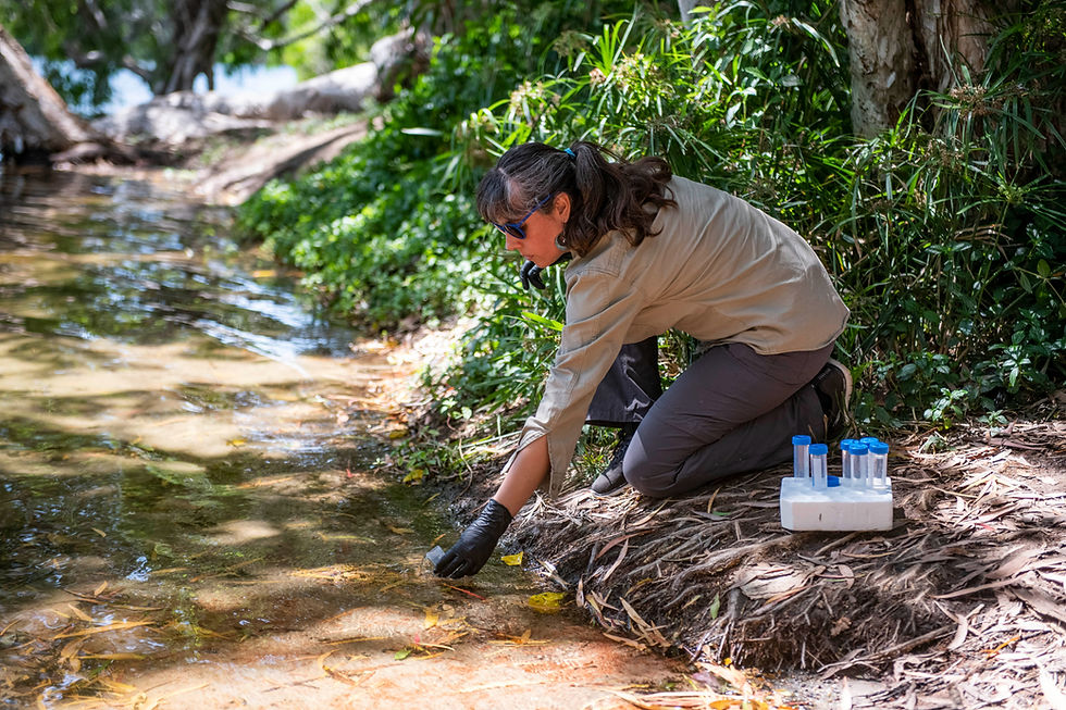 Cecilia Villacorta-Rath taking a water sample 2 - NESP Northern Hub_edited.jpg