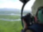 Surveying mangrove forests along the southern Great Barrier Reef coastline