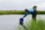 Wetlands, agriculture and water quality