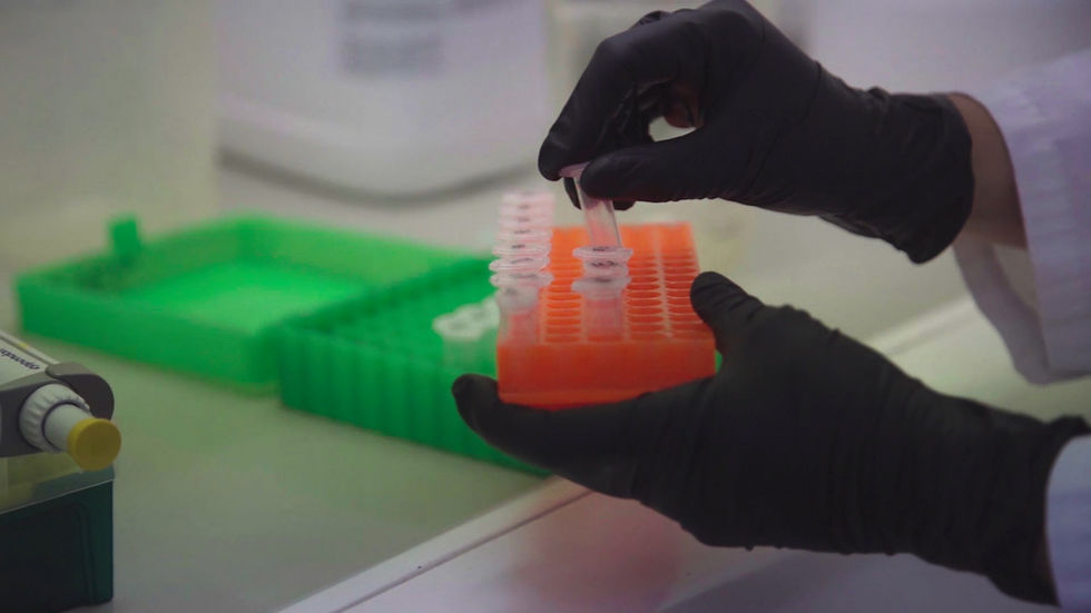 Samples in the eDNA lab