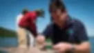 Restoring lost seagrass meadows in the Great Barrier Reef