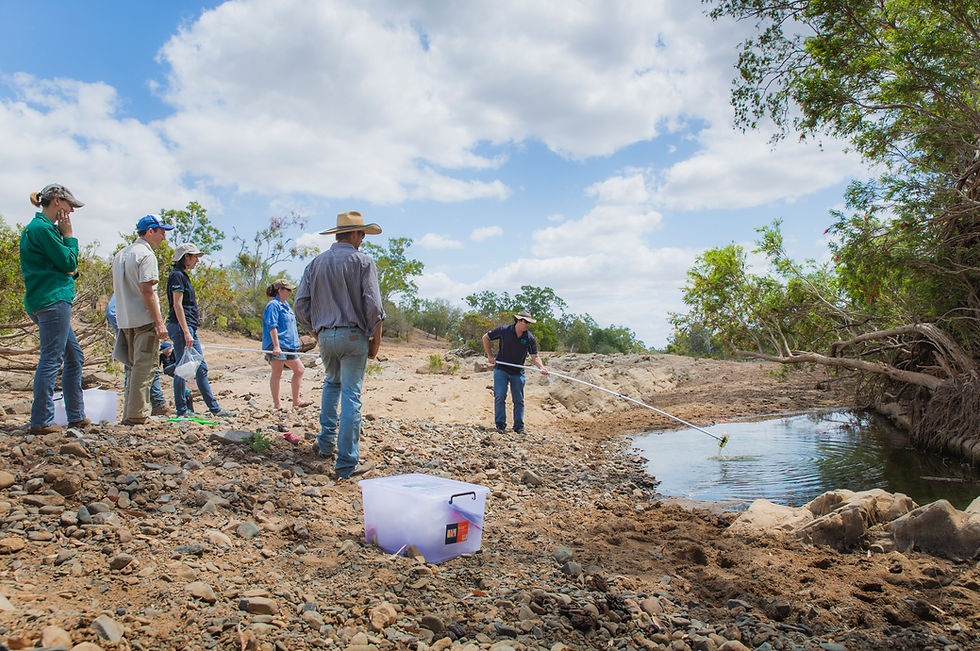Episode 10: Water quality and fertiliser trends across Great Barrier Reef catchments