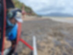 One year on: Mud from Cyclone Jasper’s floods still smothers inshore reefs and mangroves