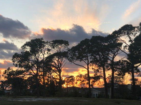 sunset picture_edited.jpg