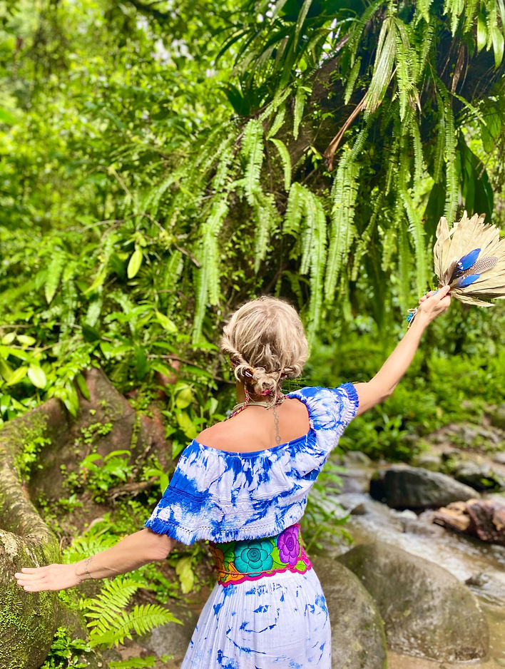 guerison spirituel shaman