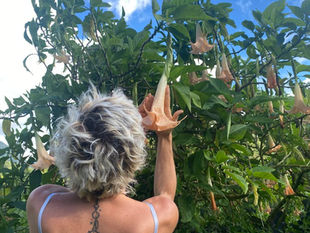voyage au perou, devotion et humilité