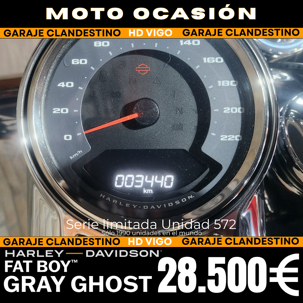 HARLEY DAVIDSON FAT BOY GRAY GHOST