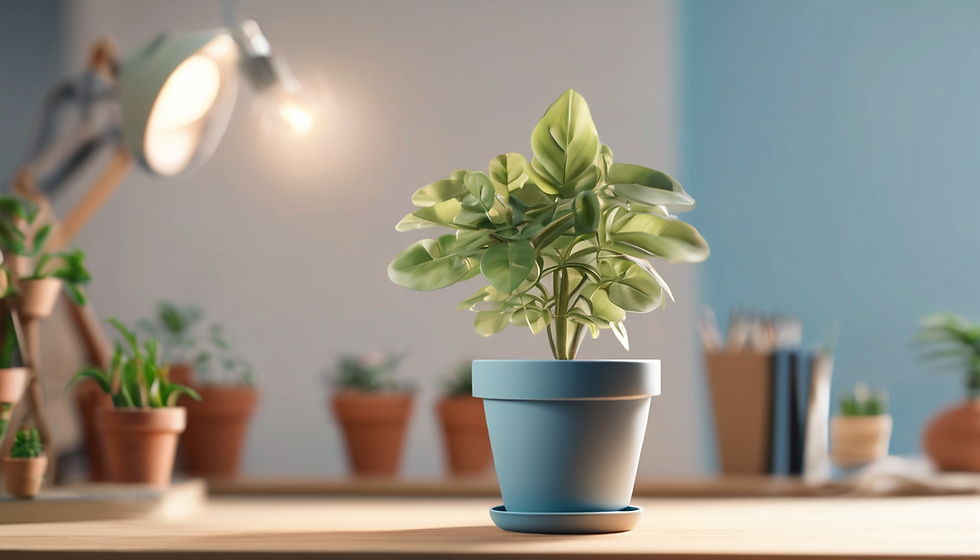 Rooted in Hope Workshop Series