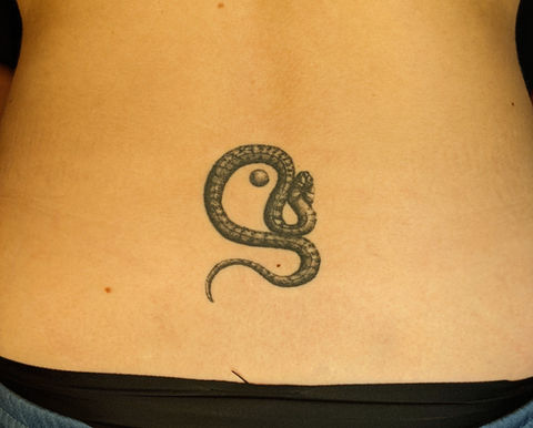 fraufranzmann berlin tattoo snake