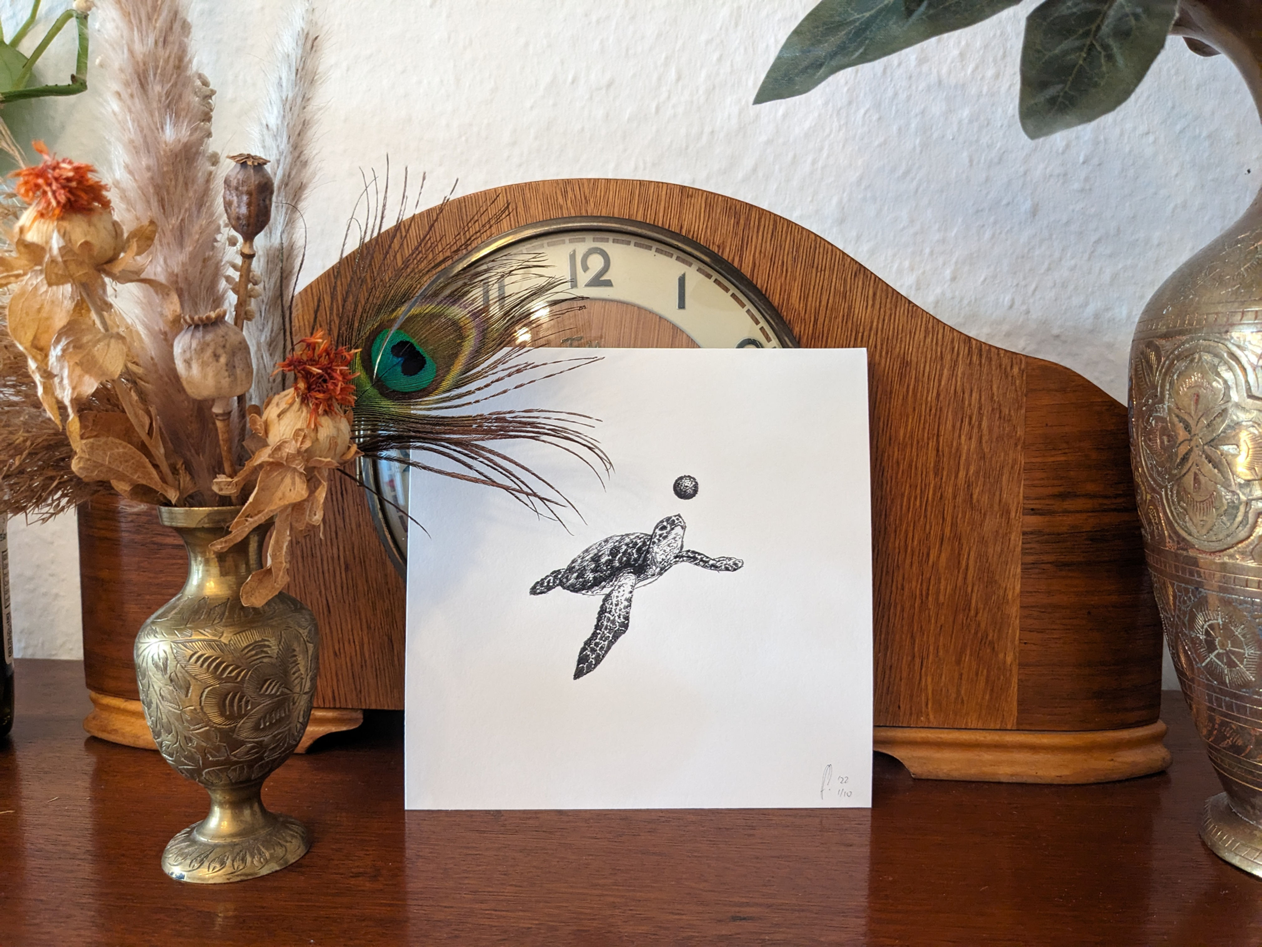 Fine Art Print "turtle"