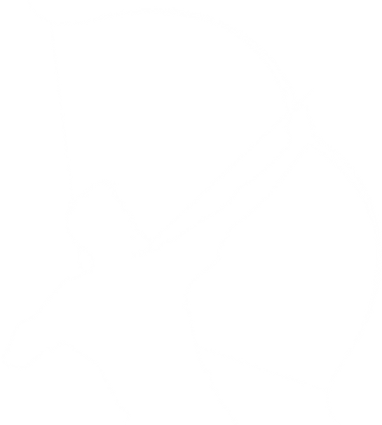 archer_white_edited.png