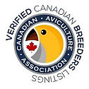 Canadian Avi Ass logo.jpeg