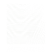 Antica Logo white-01.png