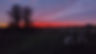 PXL_20230207_173904311.jpg