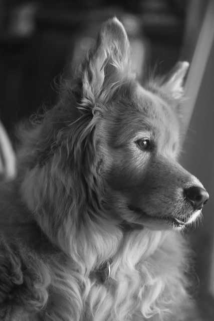 Chuck B&W