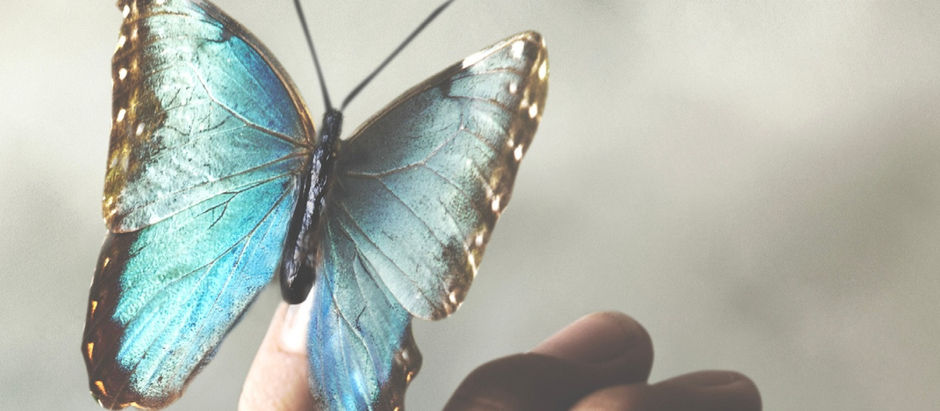 Metaphysical Mail: Are You Getting Messages from the Other Side?