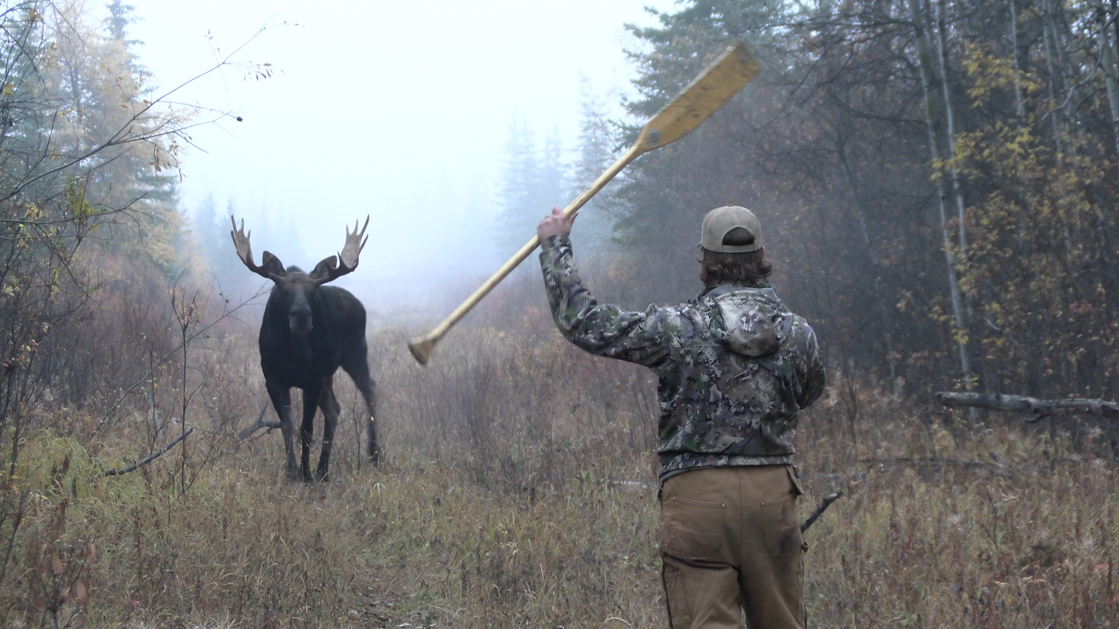 Spring Bear Hunt — Blais'n Bulls Outfitting Ltd. – Blais'n Bulls Outfitting Ltd.