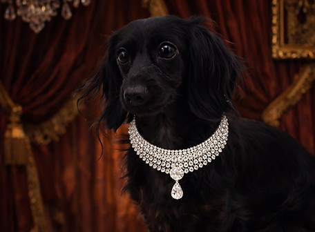 ChatGPT Image Feb 11, 2026, 06_28_36 AM_edited.jpg